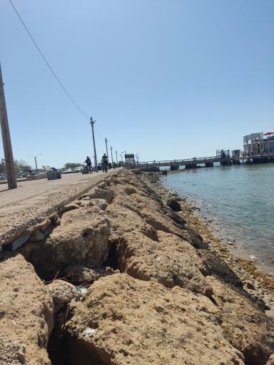 عکس پارک صدف