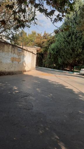 عکس سه راه طبیعت