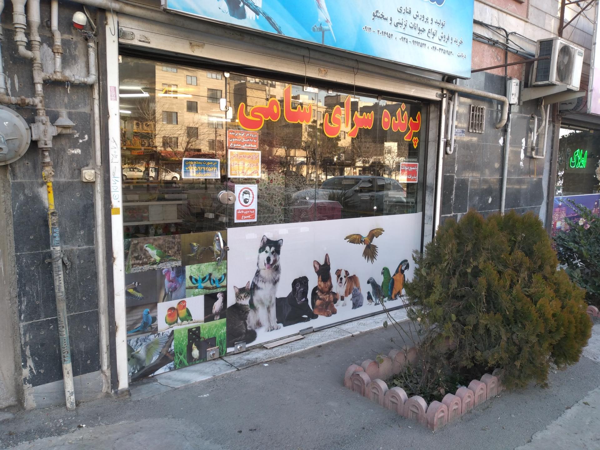 عکس پرنده سرای سامی