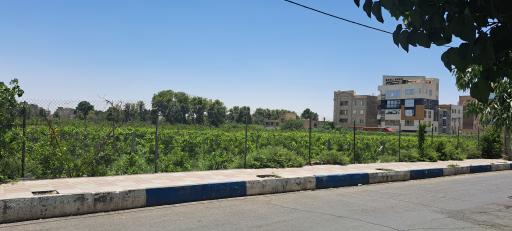 عکس باغ اصلاح نژاد انگور اداره کشاورزی ورامین