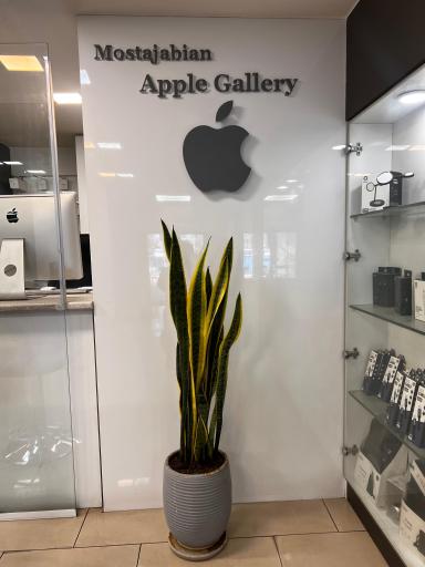 عکس اپل مستجابیان