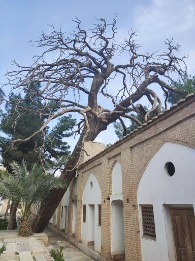 عکس تکیه میر فندرسکی