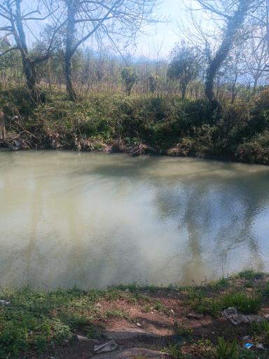 عکس عباس آباد