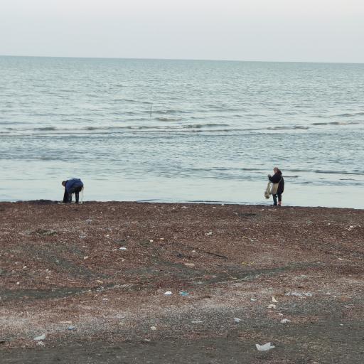 عکس پارک ساحلی شریعتی (مخیری)