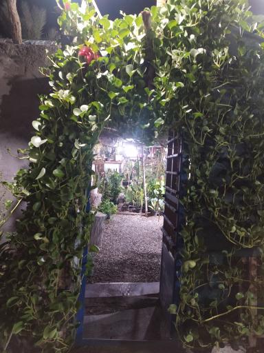 عکس گلخانه گلپروران منوجان