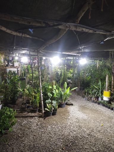 عکس گلخانه گلپروران منوجان