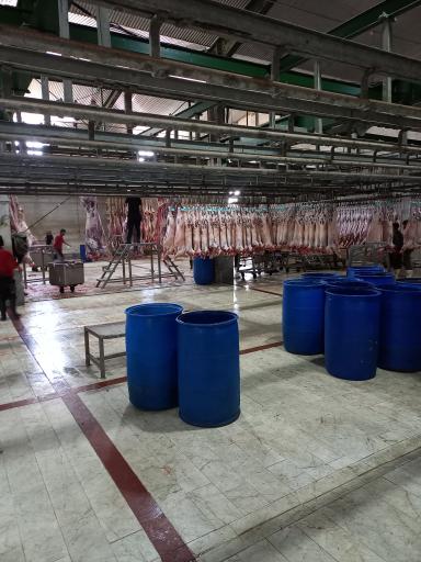 عکس کشتارگاه فجر 