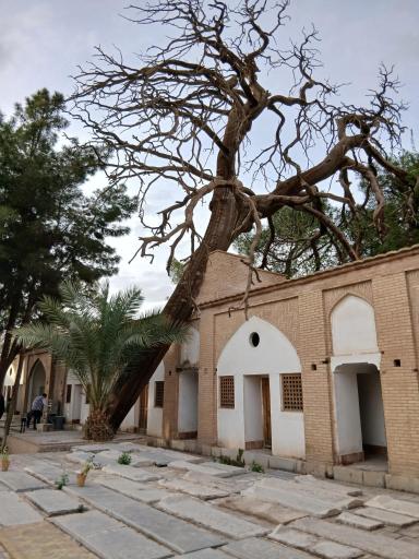 عکس تکیه میر فندرسکی