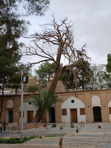 عکس تکیه میر فندرسکی