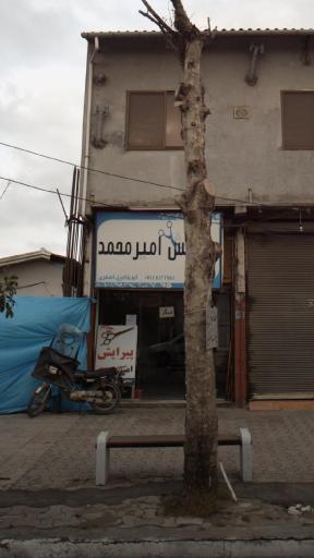 عکس پیرایش امیر محمد 