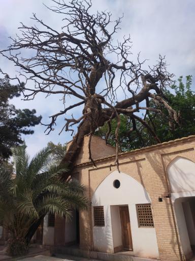 عکس تکیه میر فندرسکی