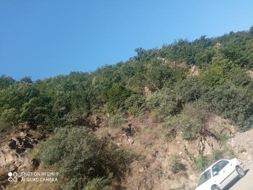 عکس عباس آباد