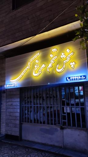 عکس پخش تخم مرغ کمی