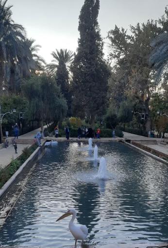 عکس باغ رضوان