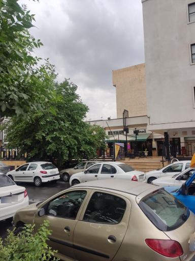 عکس مجموعه زندگی