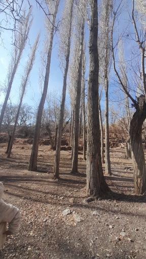 عکس چشمه قلعه