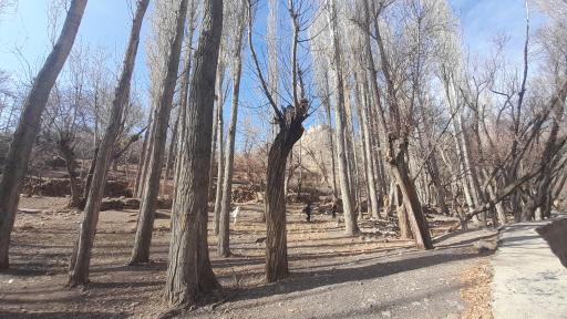 عکس چشمه قلعه