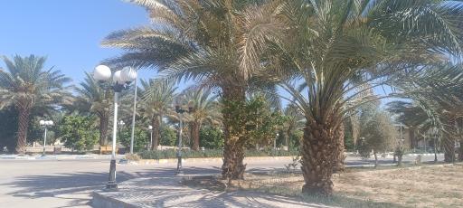 عکس باغ رضوان