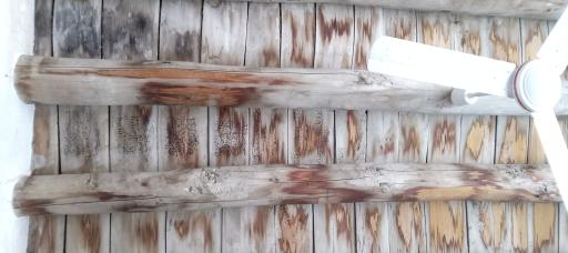 عکس مسجد رییسون