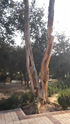 عکس پارک خانواده خلیج فارس