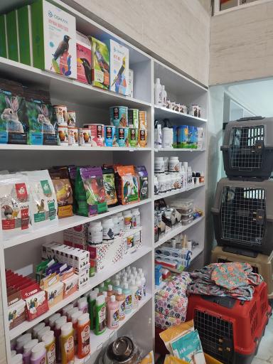 عکس دامپزشکی دکتر سالاری 