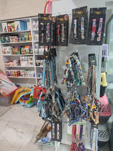 عکس دامپزشکی دکتر سالاری 