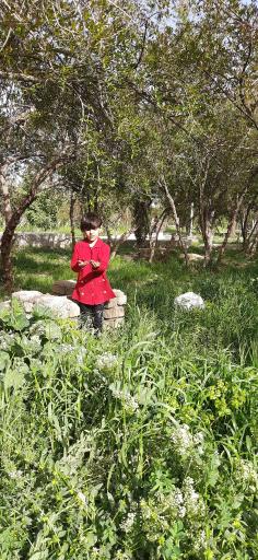 عکس پارک خانواده خلیج فارس