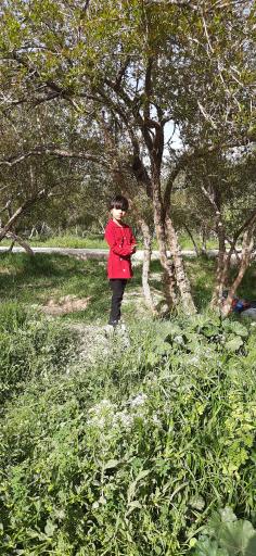 عکس پارک خانواده خلیج فارس