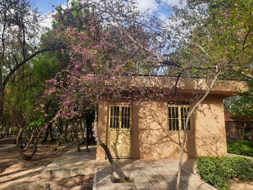 عکس پارک خانواده خلیج فارس