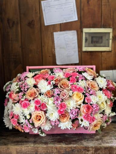 عکس گل پینو