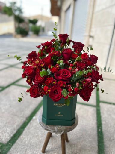 عکس گل پینو