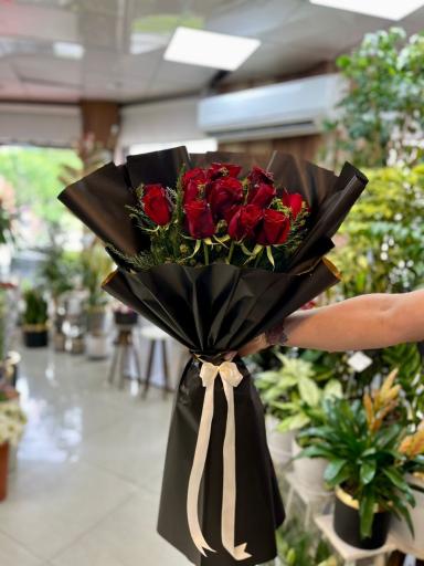 عکس گل پینو