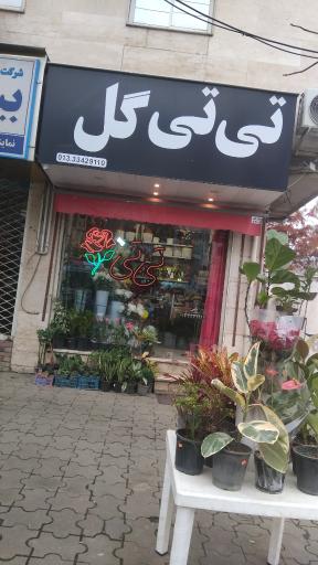 عکس گل فروشی تی تی گل 