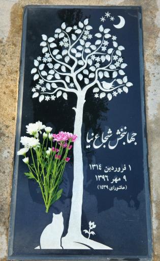 عکس مزار جهانبخش شجاع نیا