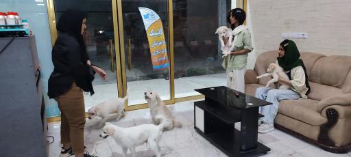 عکس دامپزشکی دکتر سالاری 