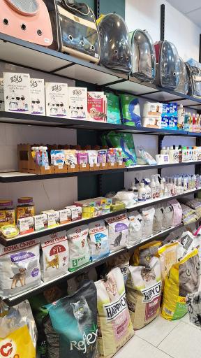 پت شاپ جنگل سبز