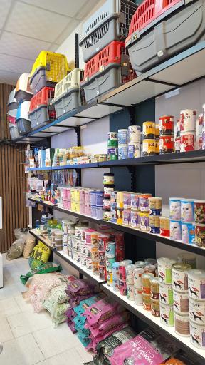 عکس پت شاپ جنگل سبز