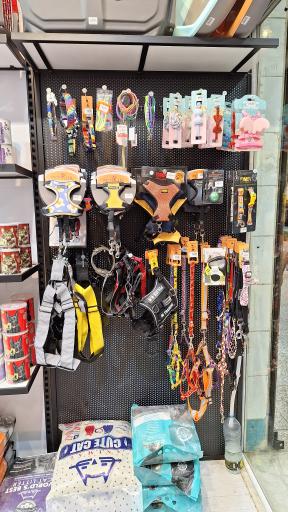 پت شاپ جنگل سبز