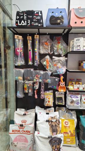 پت شاپ جنگل سبز