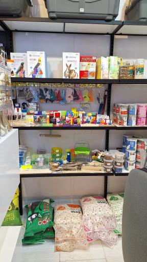 عکس پت شاپ جنگل سبز