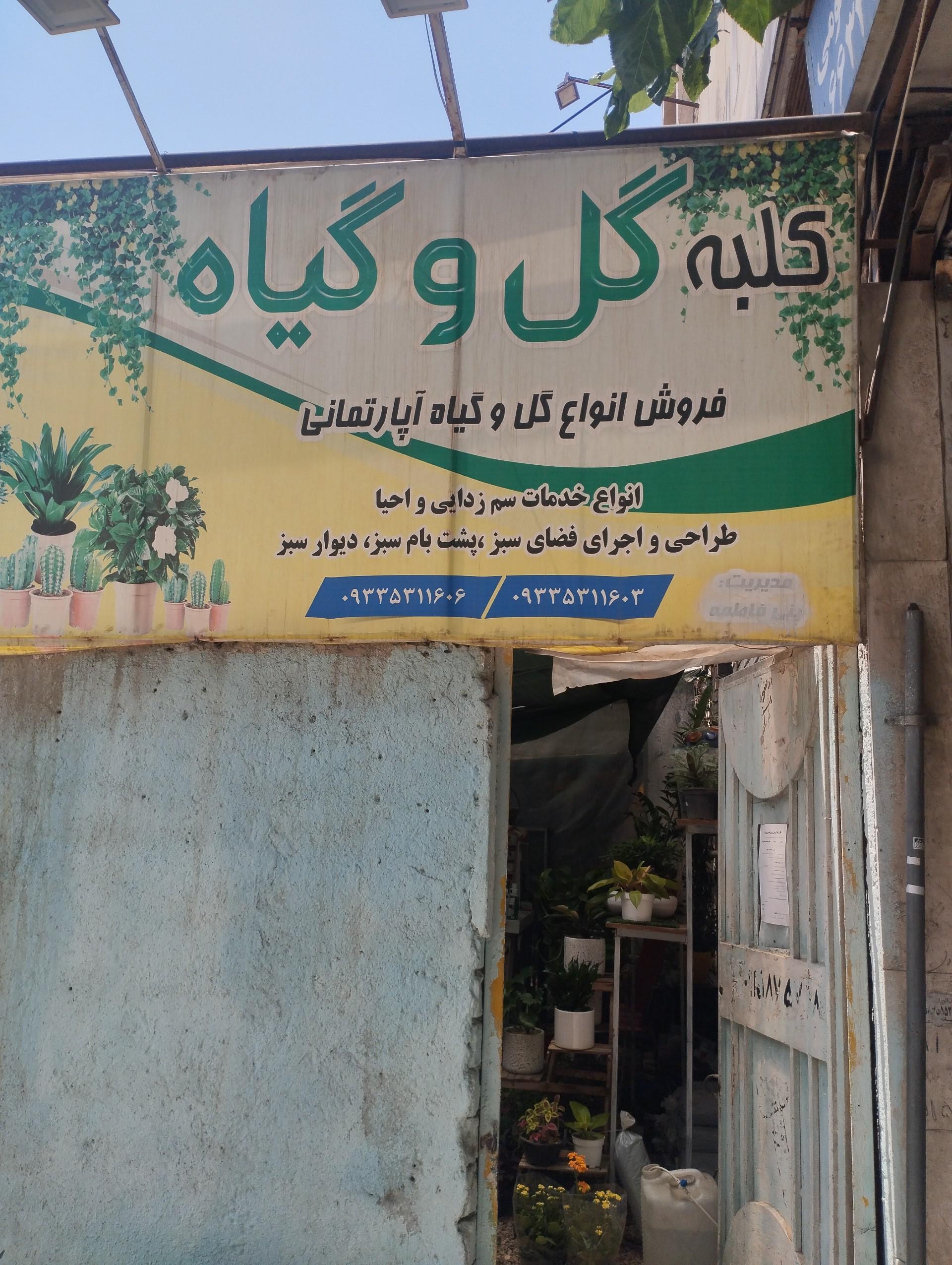 عکس گل فروشی