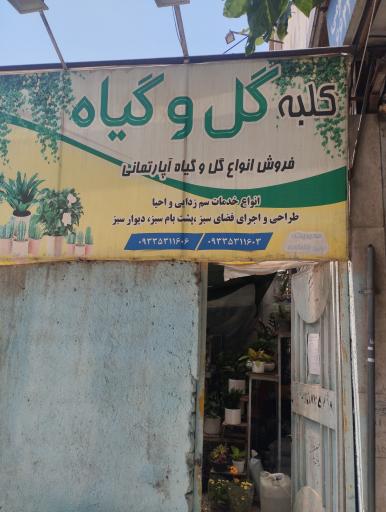 عکس گل فروشی