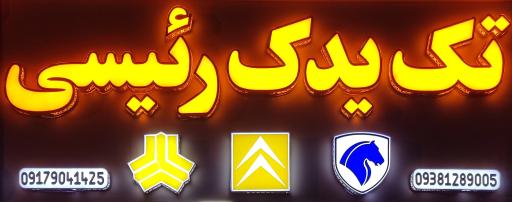 عکس تک یدک رئیسی 