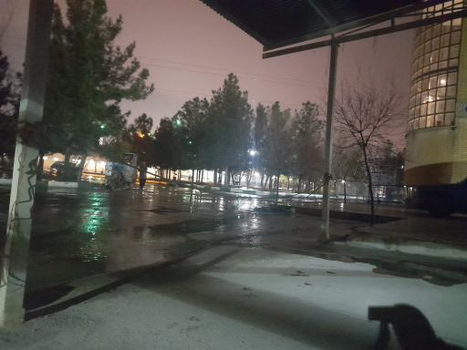 عکس فضای سبز 