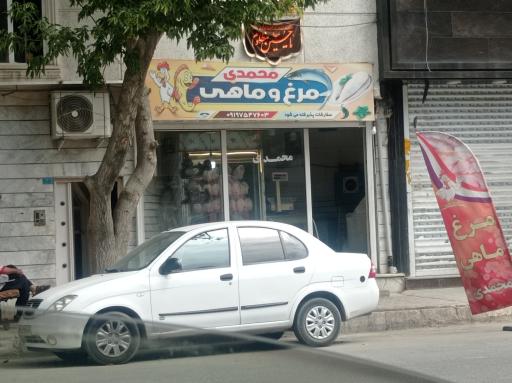 عکس مرغ و ماهی محمدی