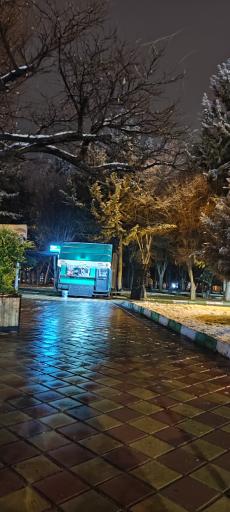 عکس گرین کافه 