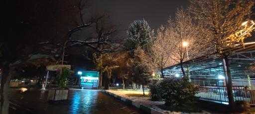 عکس گرین کافه 