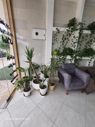 عکس دپارتمان املاک رابینسون