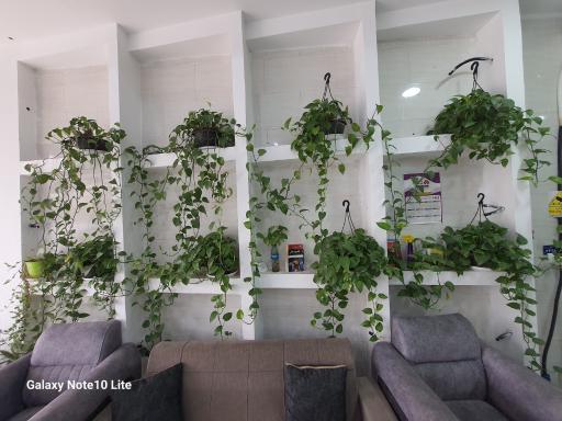 عکس دپارتمان املاک رابینسون