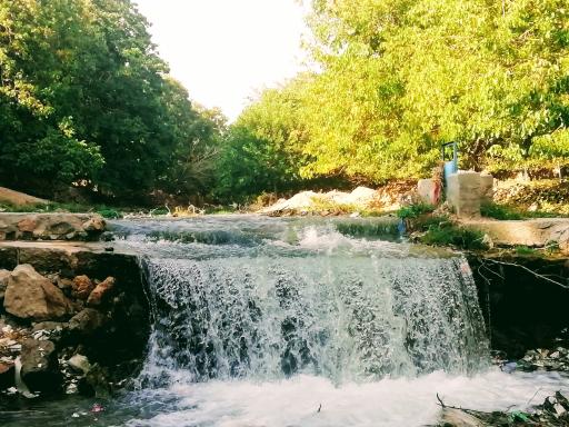 فسارود